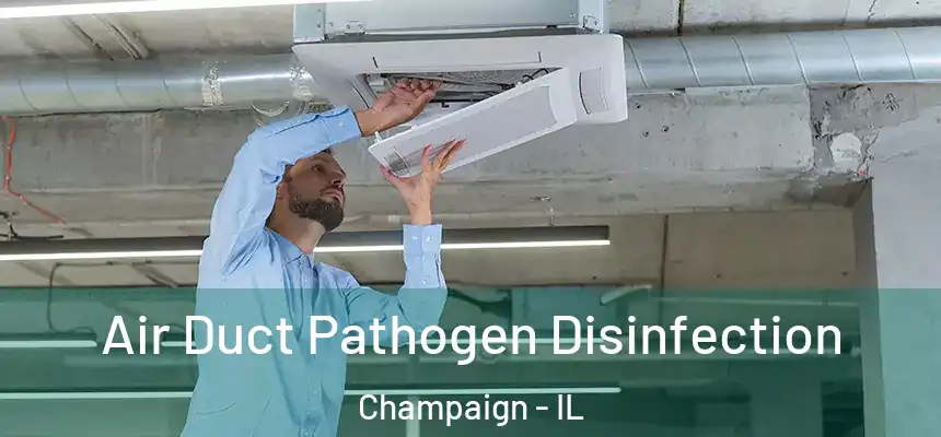  Air Duct Pathogen Disinfection Champaign - IL