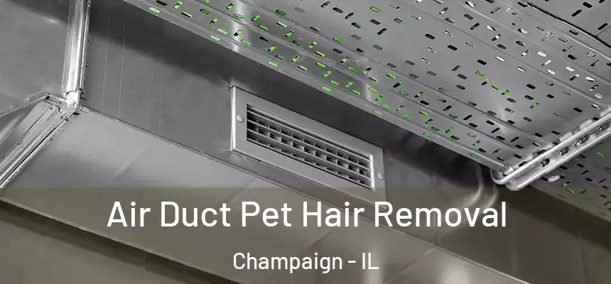 Air Duct Pet Hair Removal Champaign - IL
