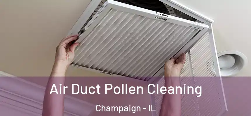 Air Duct Pollen Cleaning Champaign - IL