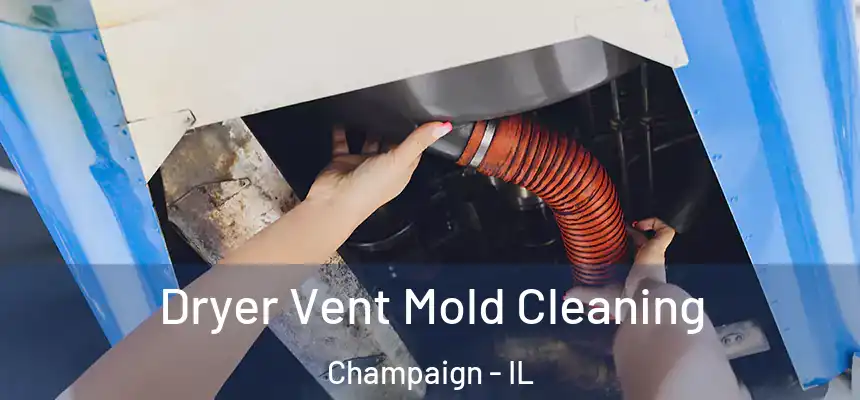 Dryer Vent Mold Cleaning Champaign - IL