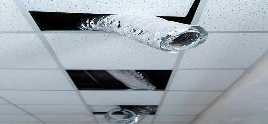 Our Air Duct Pet Hair Removal Services in Champaign, IL