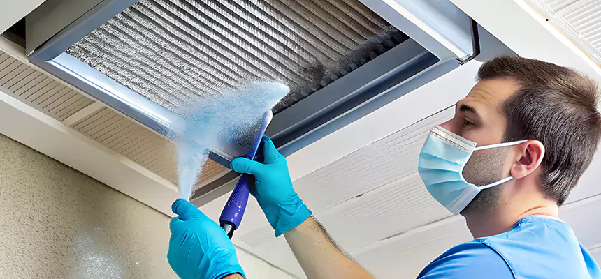 Proactive Dryer Vent & Auxiliary Duct Pollen Cleanup in Champaign, IL