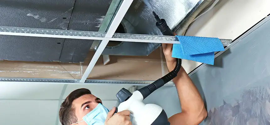 Our Air Duct Rodent Removal Services in Champaign, IL