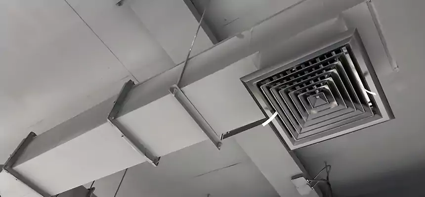 Our Rodent Droppings In Vents Services in Champaign, IL