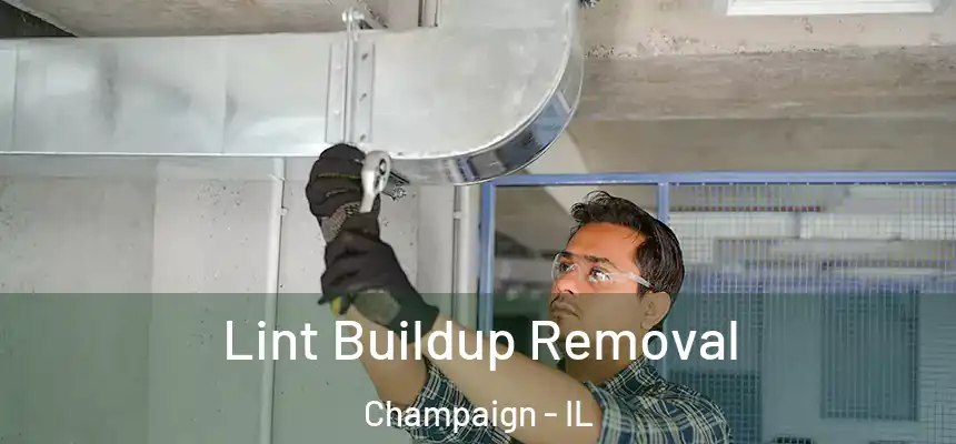  Lint Buildup Removal Champaign - IL
