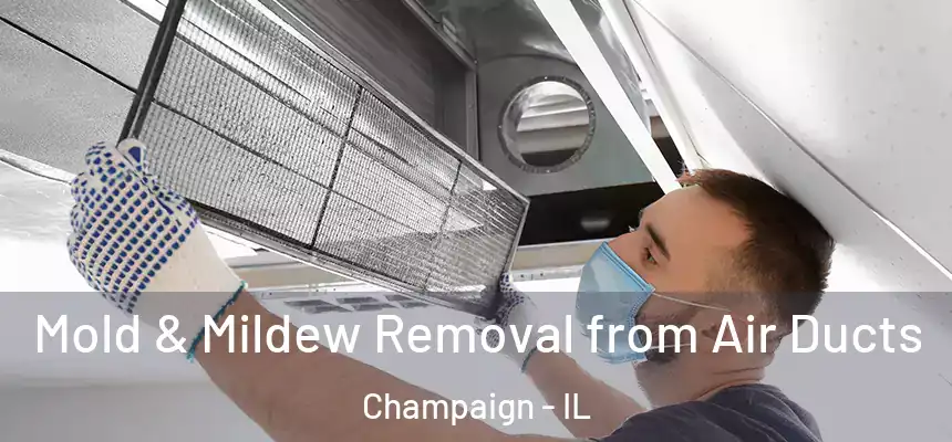  Mold & Mildew Removal from Air Ducts Champaign - IL