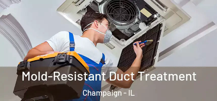 Mold-Resistant Duct Treatment Champaign - IL