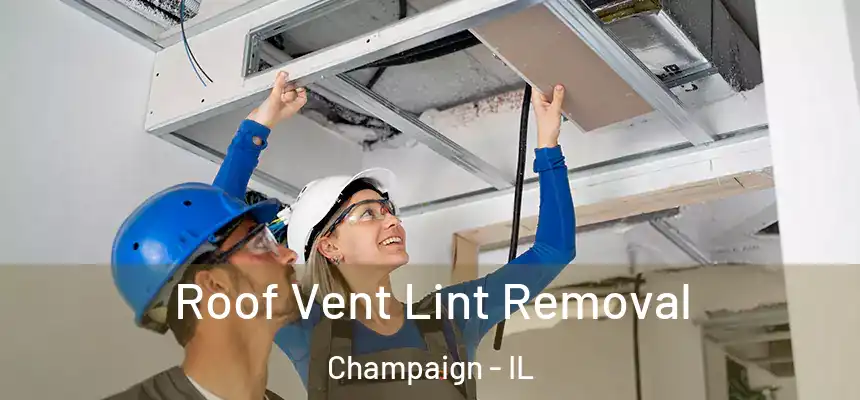 Roof Vent Lint Removal Champaign - IL