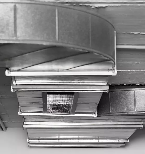 Professional Air Duct Pest Removal in Champaign, IL