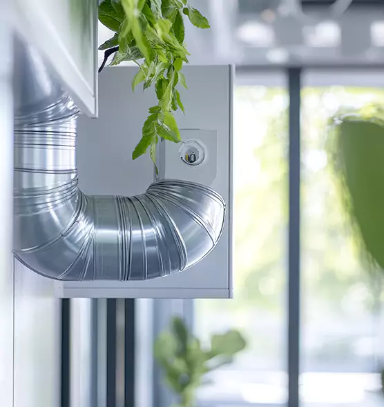 Professional Eco-Safe Dryer Vent Cleaning in Champaign, IL