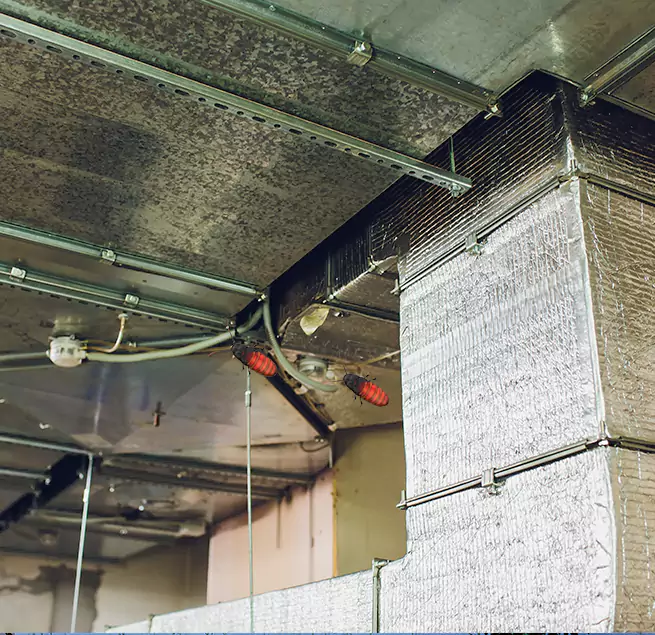 Why Homeowners & Businesses Trust Us in Champaign, IL?