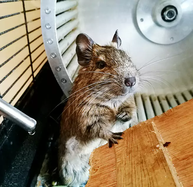 Why Homeowners & Businesses Trust Us Champaign, IL?