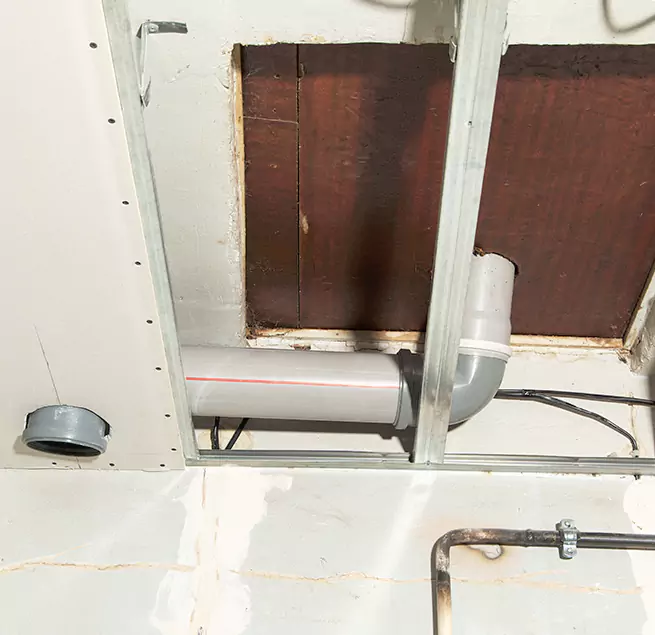 Why Homeowners & Businesses Trust Us in Champaign, IL?