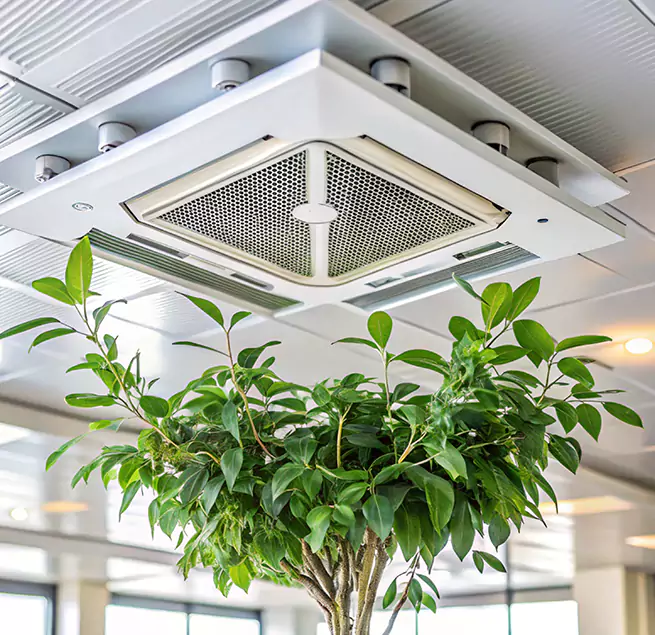 Why Homeowners & Businesses Trust Us in Champaign, IL?