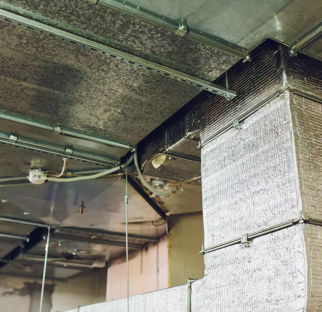 Why Homeowners & Businesses Trust Us in Champaign, IL?