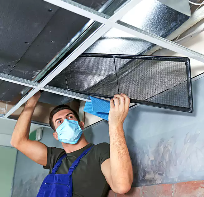 Why Homeowners Businesses Trust Us in Champaign, IL